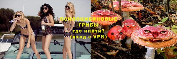 а пвп мука Армянск