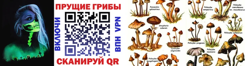 Псилоцибиновые грибы GOLDEN TEACHER  что такое   Спасск-Рязанский 